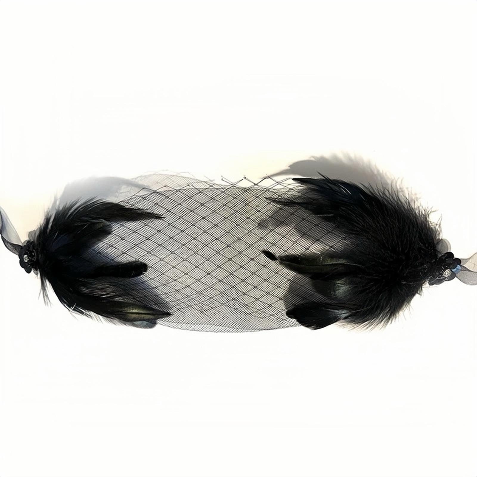 Black Feather Birdcage Eye Veil, Vintage Gothic Face Veil for Weddings Events
